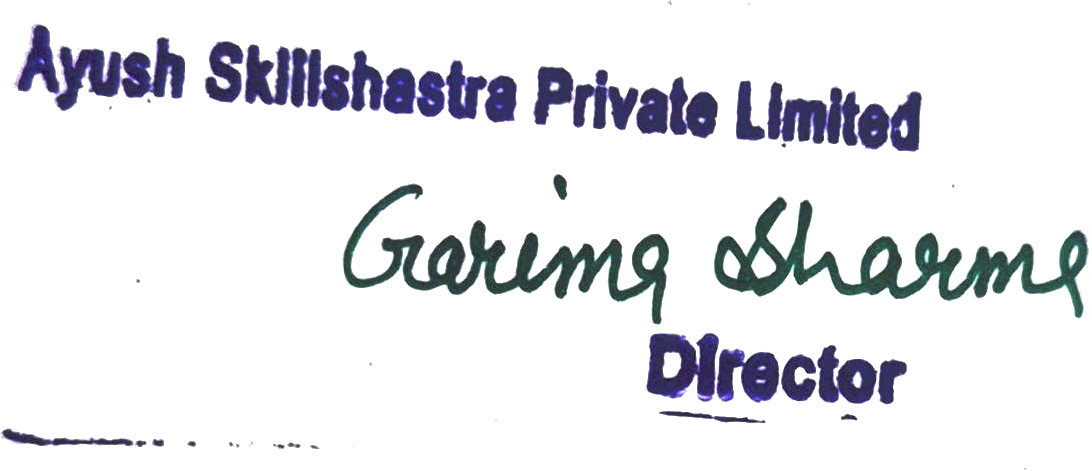 Director Signature